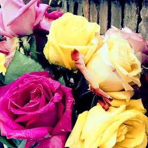 Meet your Posher, López